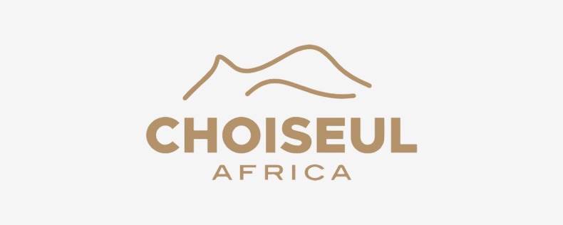 Logo of Choiseul Institute